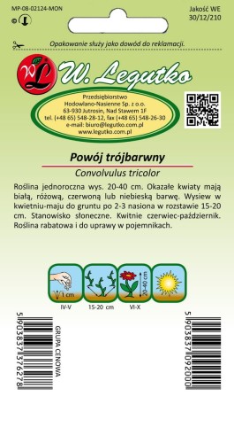 Powój trójbarwny