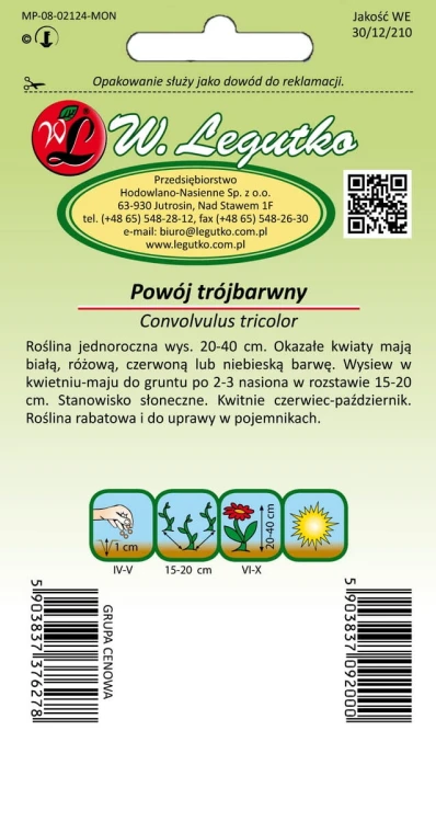 Powój trójbarwny