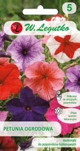 Petunia ogrodowa nis. zwarte mieszanka