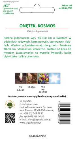 Onętek kosmos tył