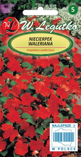 Niecierpek Waleriana czerwony