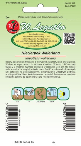 Niecierpek Waleriana czerwony