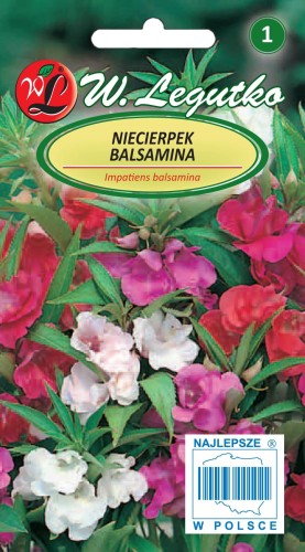Niecierpek balsamina