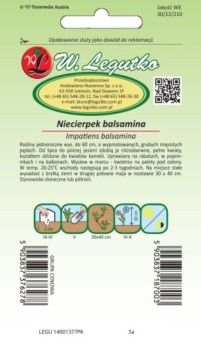 Niecierpek balsamina