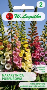 Naparstnica purpurowa Foxy mieszanka