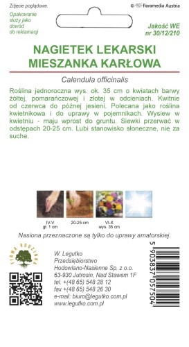 Nagietek lekarski mieszanka karł.