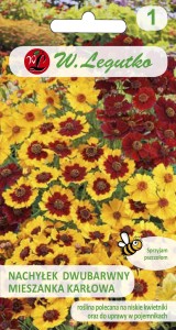Nachyłek dwubarwny - mieszanka karłowa