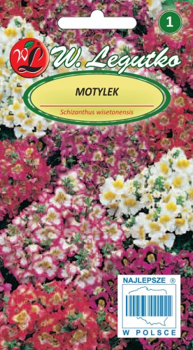 Motylek