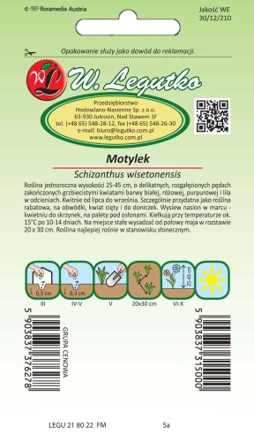 Motylek