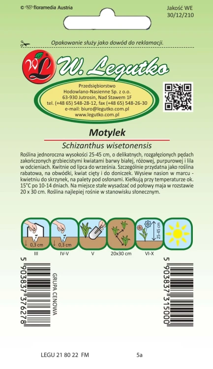Motylek