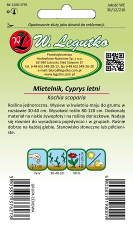 Mietelnik, Cyprys letni zielony