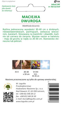 Maciejka dwuroga różowolawendowy