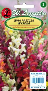 Lwia paszcza wysoka - mieszanka