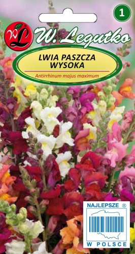 Lwia paszcza wysoka