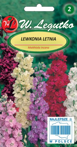 Lewkonia letnia