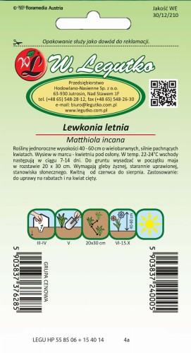 Lewkonia letnia