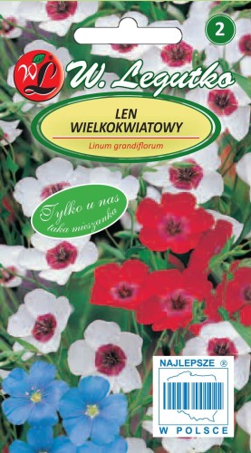 Len wielkokwiatowy
