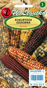 Kukurydza ozdobna mieszanka