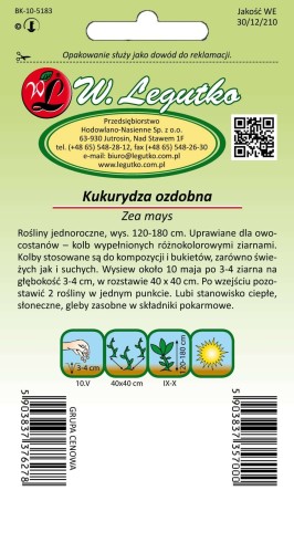 Kukurydza ozdobna