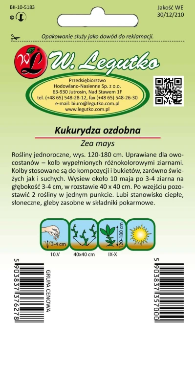 Kukurydza ozdobna