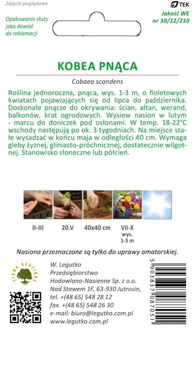 Kobea pnąca fioloetowa