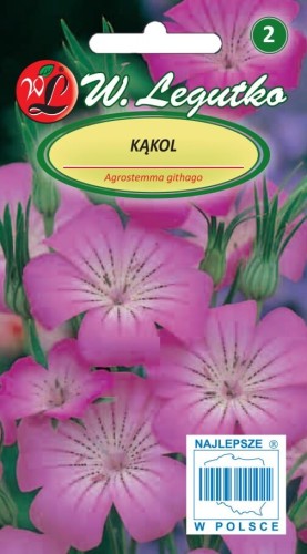 Kąkol różowy