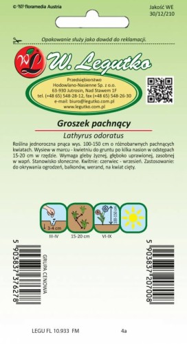 Groszek pachnący różne odmiany