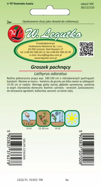 Groszek pachnący różne odmiany