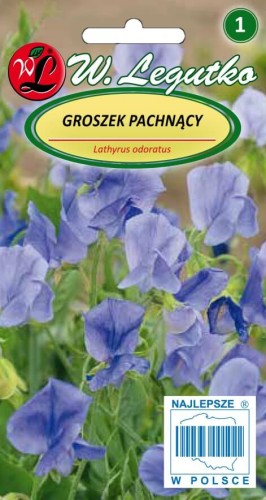 Groszek pachnący różne odmiany niebieskie