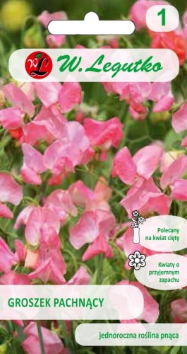 Groszek pachnący różne odmiany różowe