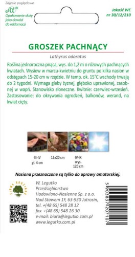 Groszek pachnący różne odmiany różowe