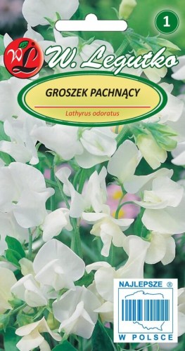 Groszek pachnący różne odmiany białe