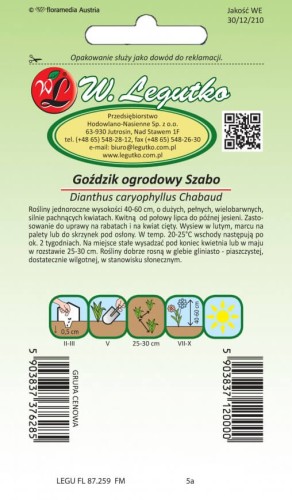 Goździk ogrodowy Szabo