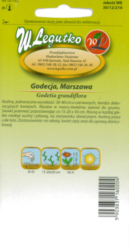Godecja, Azalia letnia czerwona