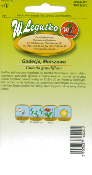 Godecja, Azalia letnia czerwona