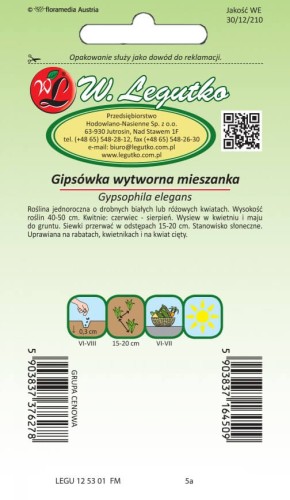 Gipsówka wytworna mieszanka
