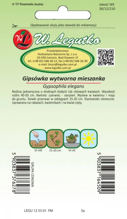 Gipsówka wytworna mieszanka