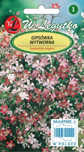 Gipsówka wytworna mieszanka