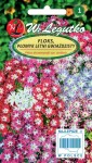Floks gwiaździsty mieszanka