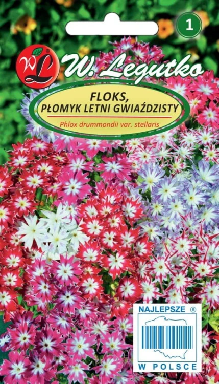 Floks gwiaździsty