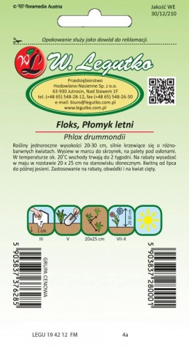 Floks. Płomyk letni