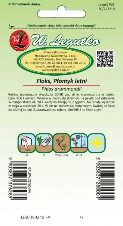 Floks. Płomyk letni