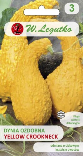 Dynia zwyczajna ozdobna Yellow Croockneck