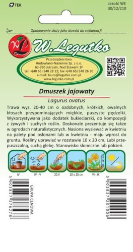 Dmuszek jajowaty słomkowy