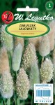 Dmuszek jajowaty słomkowe