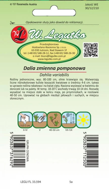 Dalia zmienna pompon. wys. mieszanka