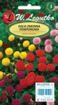 Dalia zmienna pomponowa - mieszanka