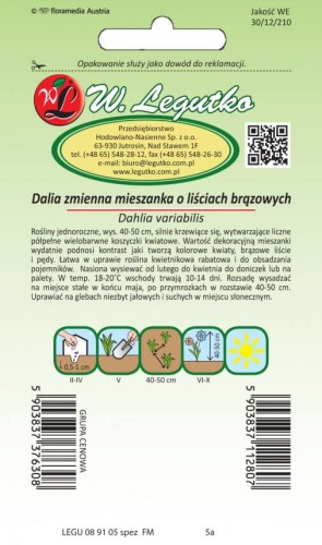 Dalia zmienna półpeł. karł. Diablo
