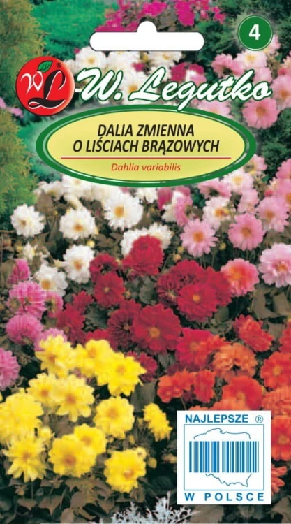 Dalia zmienna półpeł. karł. Diablo
