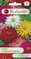 Cynia wytworna chryzantem,